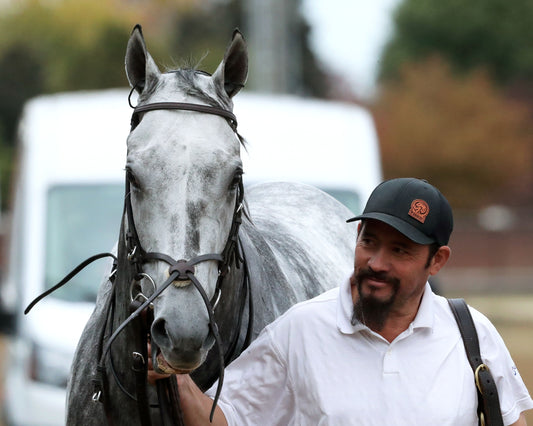 ROLL ON BIG JOE - The Bet on Sunshine - 11-01-25 - R07 - CD - Come Back 03