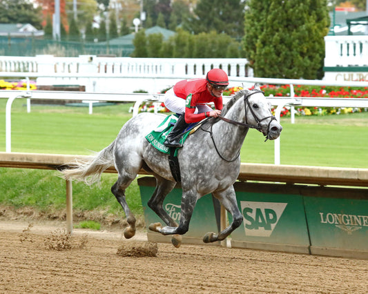 ROLL ON BIG JOE - The Bet on Sunshine - 11-01-25 - R07 - CD - Finish 02