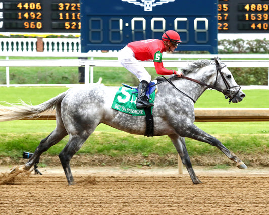 ROLL ON BIG JOE - The Bet on Sunshine - 11-01-25 - R07 - CD - Finish 03