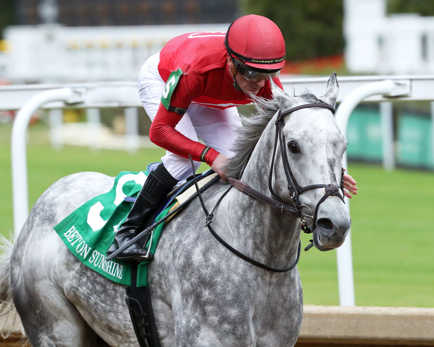 ROLL ON BIG JOE - The Bet on Sunshine - 11-01-25 - R07 - CD - Gallop Out 02