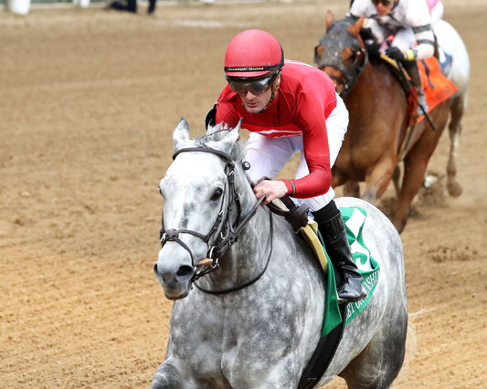 ROLL ON BIG JOE - The Bet on Sunshine - 11-01-25 - R07 - CD - Inside Finish 01