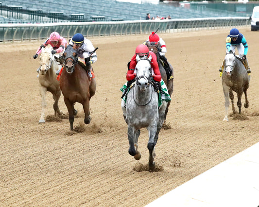 ROLL ON BIG JOE - The Bet on Sunshine - 11-01-25 - R07 - CD - Inside Finish 02