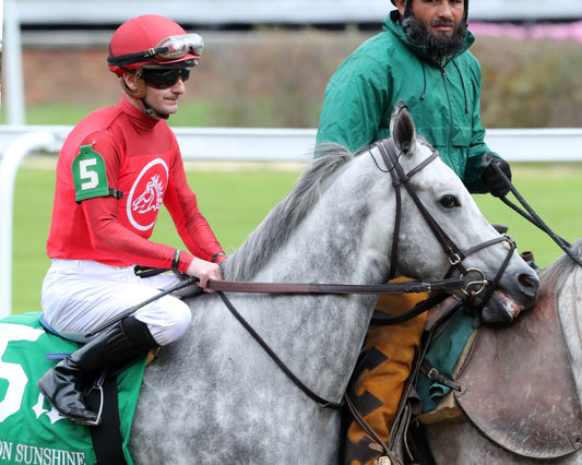 ROLL ON BIG JOE - The Bet on Sunshine - 11-01-25 - R07 - CD - Post Parade 01