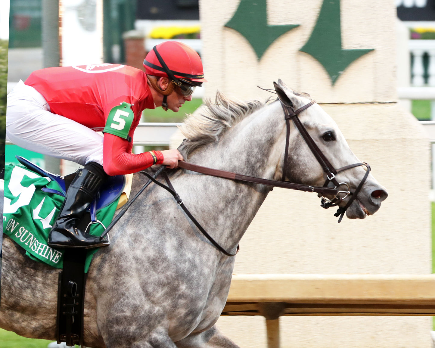 ROLL ON BIG JOE - The Bet on Sunshine - 11-01-25 - R07 - CD - Tight Finish 01