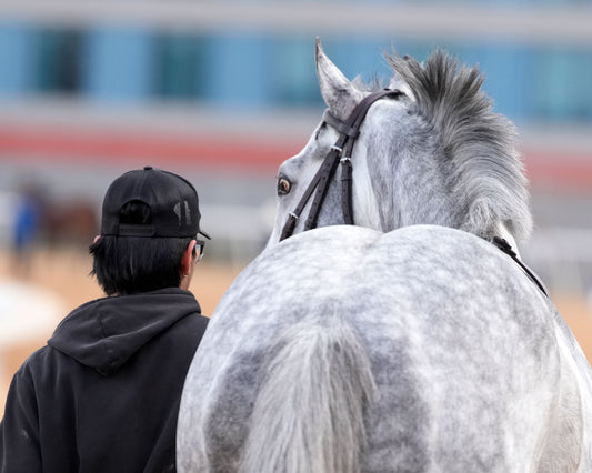 ROLL ON BIG JOE - The King Cotton Stakes - 02-08-26 - R08 - OP - Come Back 01 - Coady Media - Kurtis Coady Photography