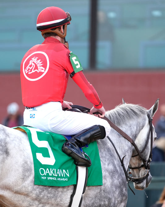 ROLL ON BIG JOE - The King Cotton Stakes - 02-08-26 - R08 - OP - Come Back 02 - Coady Media - Kurtis Coady Photography