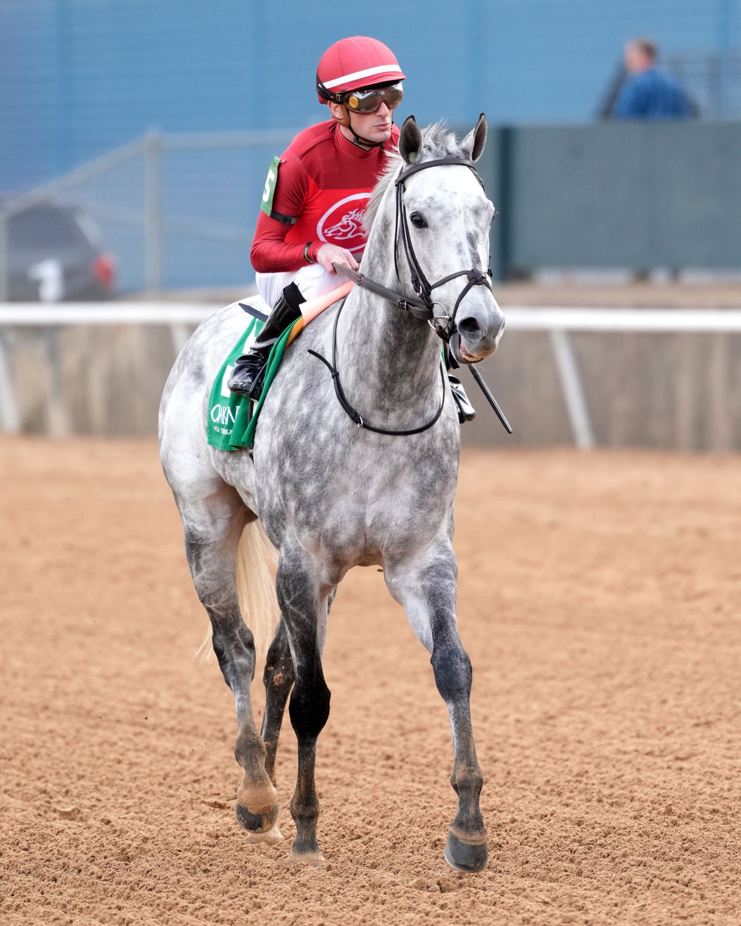 ROLL ON BIG JOE - The King Cotton Stakes - 02-08-26 - R08 - OP - Come Back 03 - Coady Media - Kurtis Coady Photography
