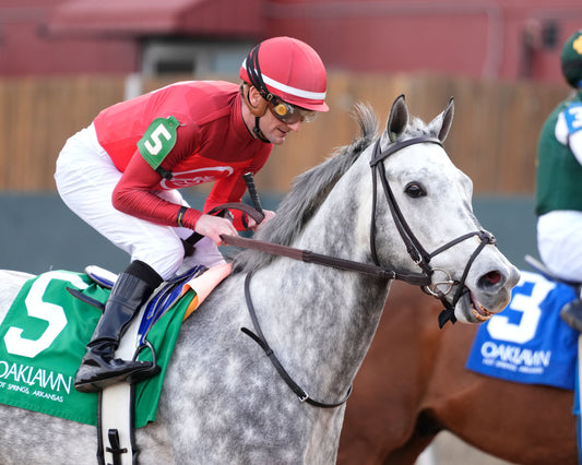 ROLL ON BIG JOE - The King Cotton Stakes - 02-08-26 - R08 - OP - Come Back 04 - Coady Media - Kurtis Coady Photography