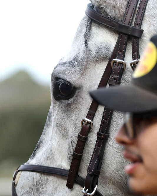 ROLL ON BIG JOE - The King Cotton Stakes - 02-08-26 - R08 - OP - Come Back 06 - Coady Media - Kurtis Coady Photography