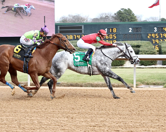 ROLL ON BIG JOE - The King Cotton Stakes - 02-08-26 - R08 - OP - Finish 01 - Coady Media - Kurtis Coady Photography
