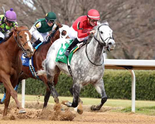 ROLL ON BIG JOE - The King Cotton Stakes - 02-08-26 - R08 - OP - Finish 02 - Coady Media - Kurtis Coady Photography