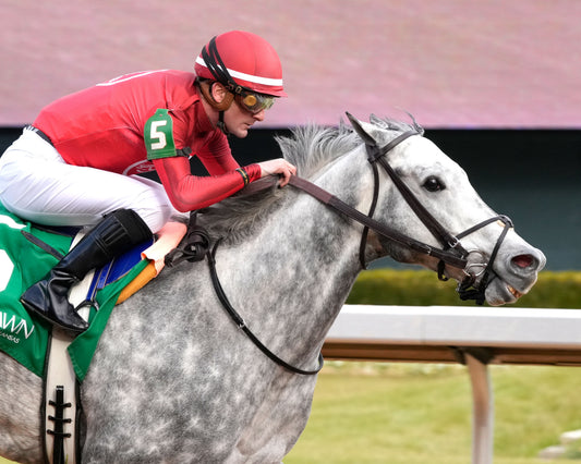 ROLL ON BIG JOE - The King Cotton Stakes - 02-08-26 - R08 - OP - Finish 03 - Coady Media - Kurtis Coady Photography