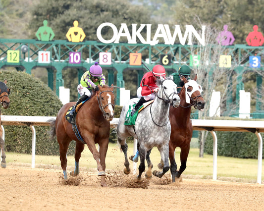 ROLL ON BIG JOE - The King Cotton Stakes - 02-08-26 - R08 - OP - Finish 04 - Coady Media - Kurtis Coady Photography