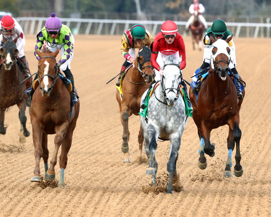 ROLL ON BIG JOE - The King Cotton Stakes - 02-08-26 - R08 - OP - Gallop Out 01 - Coady Media - Kurtis Coady Photography