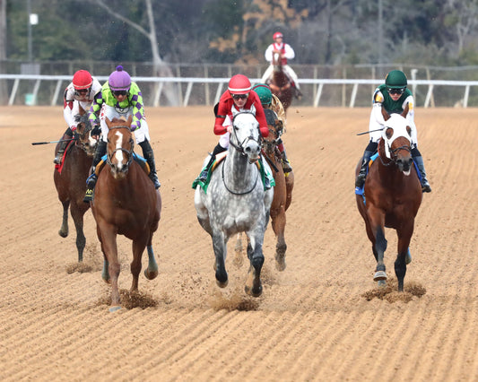 ROLL ON BIG JOE - The King Cotton Stakes - 02-08-26 - R08 - OP - Head On 01 - Coady Media - Kurtis Coady Photography