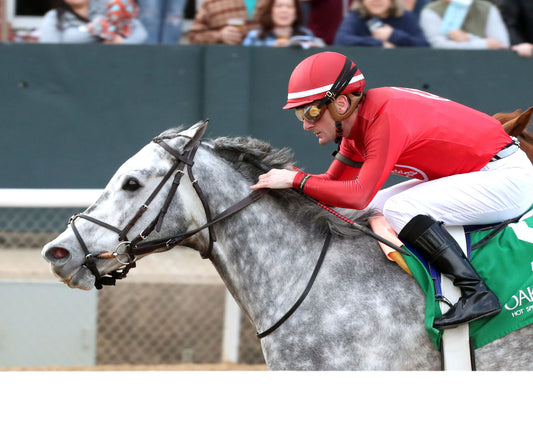 ROLL ON BIG JOE - The King Cotton Stakes - 02-08-26 - R08 - OP - Inside Finish 01 - Coady Media - Kurtis Coady Photography
