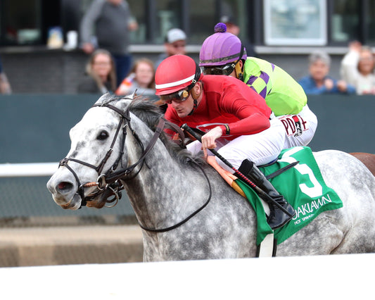 ROLL ON BIG JOE - The King Cotton Stakes - 02-08-26 - R08 - OP - Inside Finish 02 - Coady Media - Kurtis Coady Photography