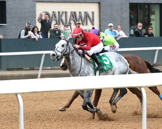ROLL ON BIG JOE - The King Cotton Stakes - 02-08-26 - R08 - OP - Inside Finish 03 - Coady Media - Kurtis Coady Photography
