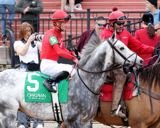 ROLL ON BIG JOE - The King Cotton Stakes - 02-08-26 - R08 - OP - Post Parade 01 - Coady Media - Kurtis Coady Photography