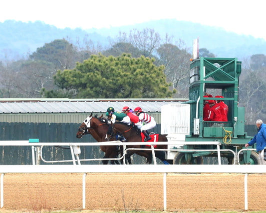 ROLL ON BIG JOE - The King Cotton Stakes - 02-08-26 - R08 - OP - Start 01 - Coady Media - Kurtis Coady Photography