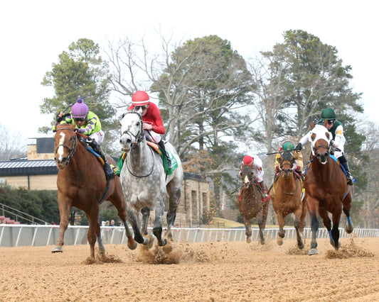 ROLL ON BIG JOE - The King Cotton Stakes - 02-08-26 - R08 - OP - Under Rail 01 - Coady Media - Kurtis Coady Photography