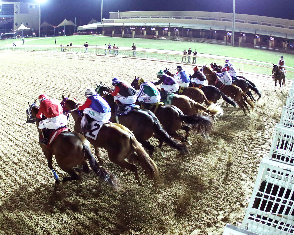 ROYALIST - Dash for Cash Derby (Grade II) - 10-10-26 - R10 - Lone Star Park - Gate 02