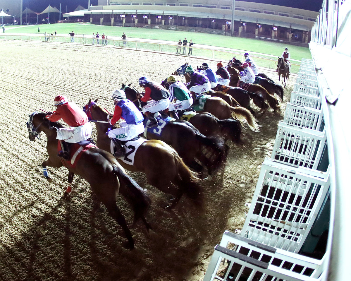 ROYALIST - Dash for Cash Derby (Grade II) - 10-10-26 - R10 - Lone Star Park - Gate Start 02