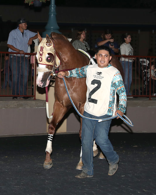ROYALIST - Dash for Cash Derby (Grade II) - 10-10-26 - R10 - Lone Star Park - Paddock 01 - Coady Media - Kurtis Coady Photography
