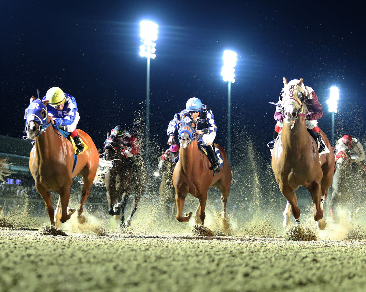 ROYALIST - Dash for Cash Derby (Grade II) - 10-10-26 - R10 - Lone Star Park - Under Rail