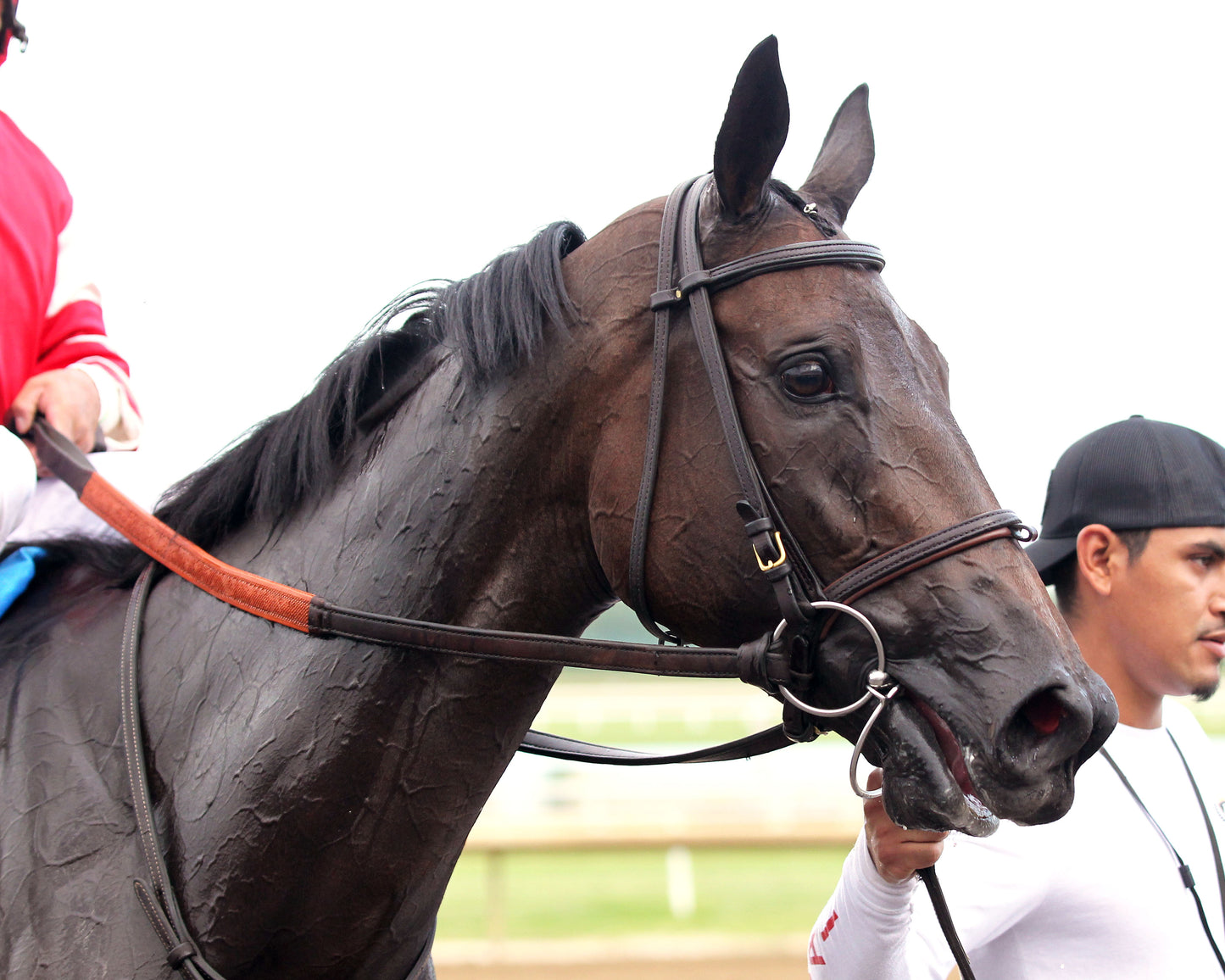 ROYAL JUSTICE - The Peony - 23rd Running - 08-26-26 - R08 - Horseshoe Indiana - Comeback 01 - Casey Cable