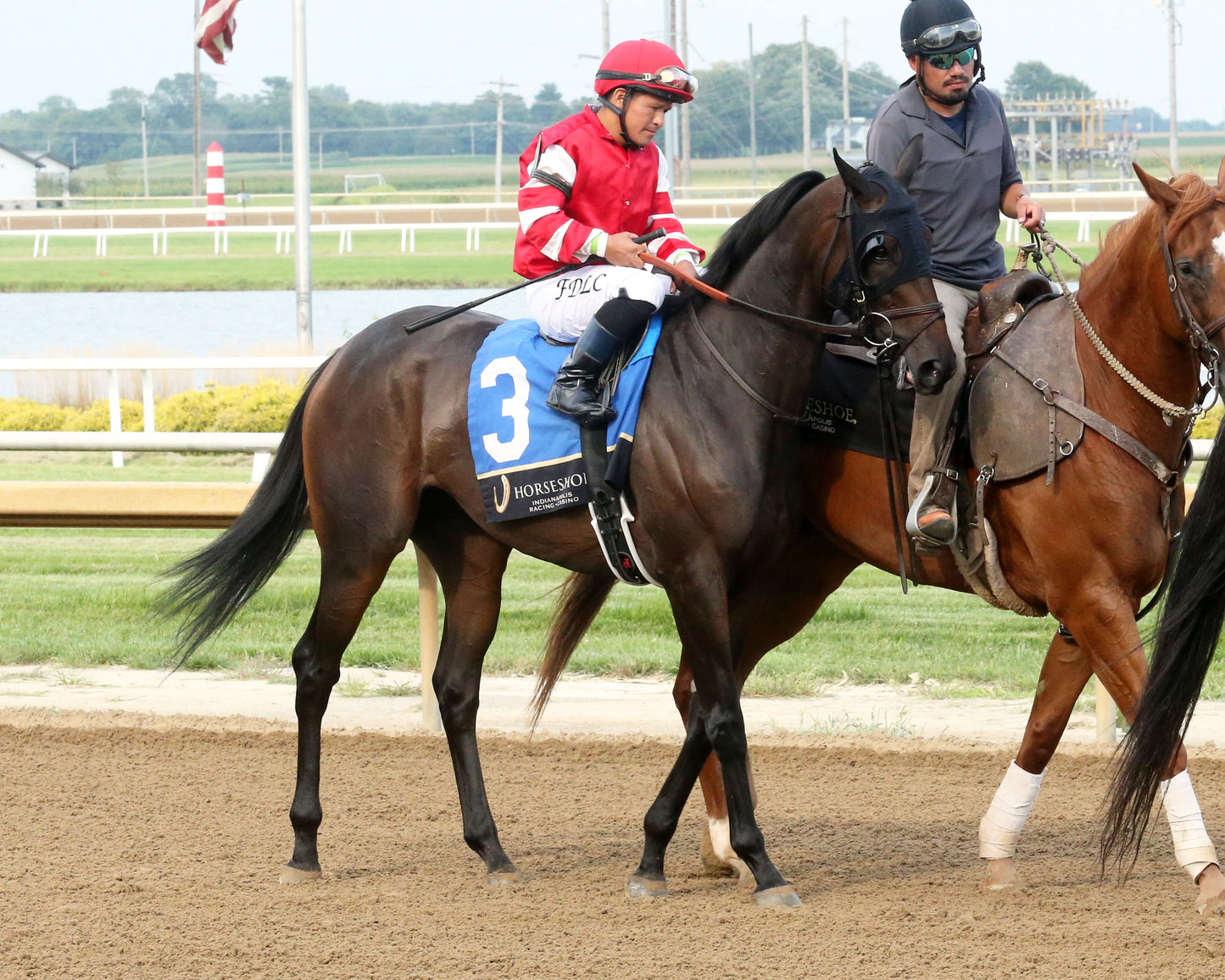 ROYAL JUSTICE - The Peony - 23rd Running - 08-26-26 - R08 - Horseshoe Indiana - Post Parade 01 - Sammantha Pagels