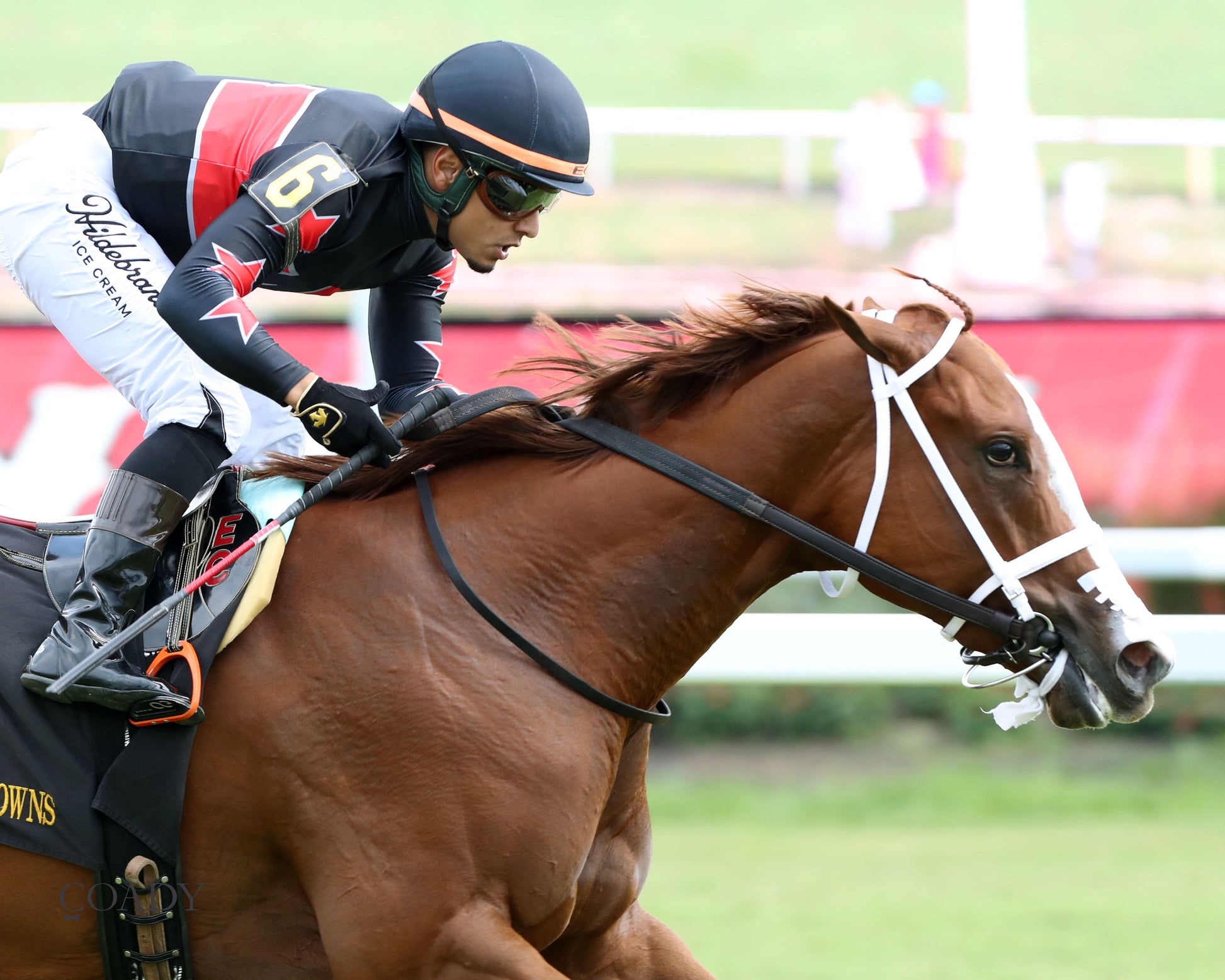 ROYAL TESTAMENT - The Exacta Systems Rosie's Stakes - 09-06-25 - CNL - Finish 02 - Coady Media - Kurtis Coady Photography
