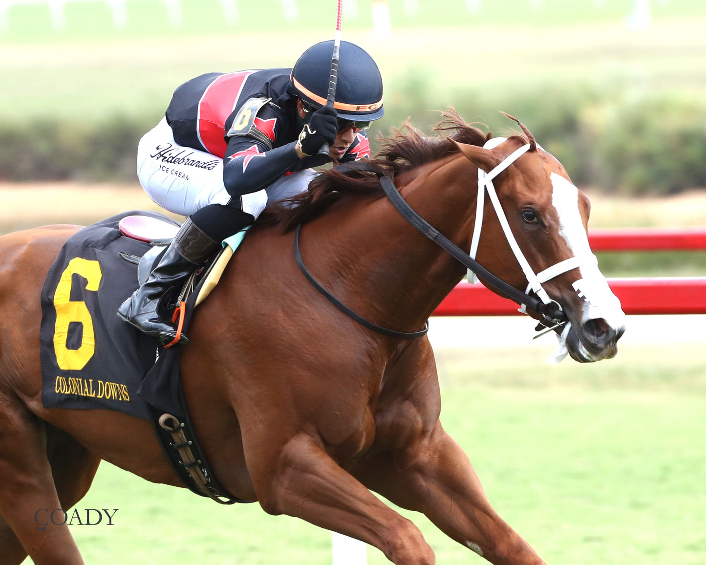ROYAL TESTAMENT - The Exacta Systems Rosie's Stakes - 09-06-25 - CNL - Finish 03 - Coady Media - Kurtis Coady Photography