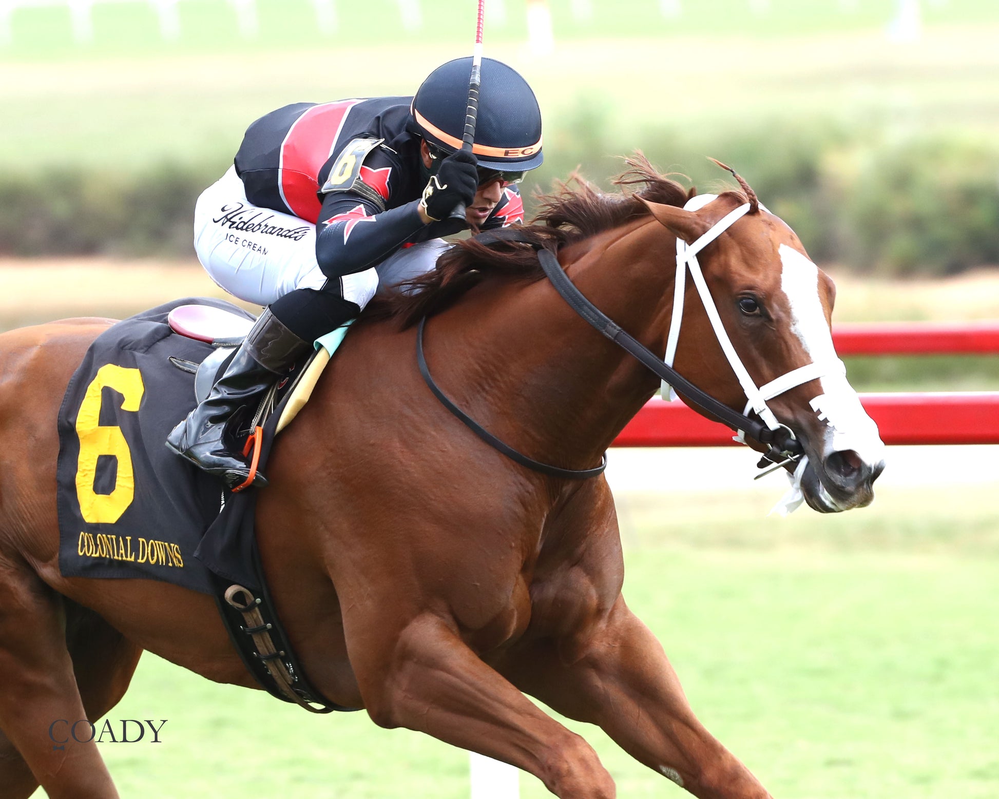ROYAL TESTAMENT - The Exacta Systems Rosie's Stakes - 09-06-25 - CNL - Finish 03 - Coady Media - Kurtis Coady Photography