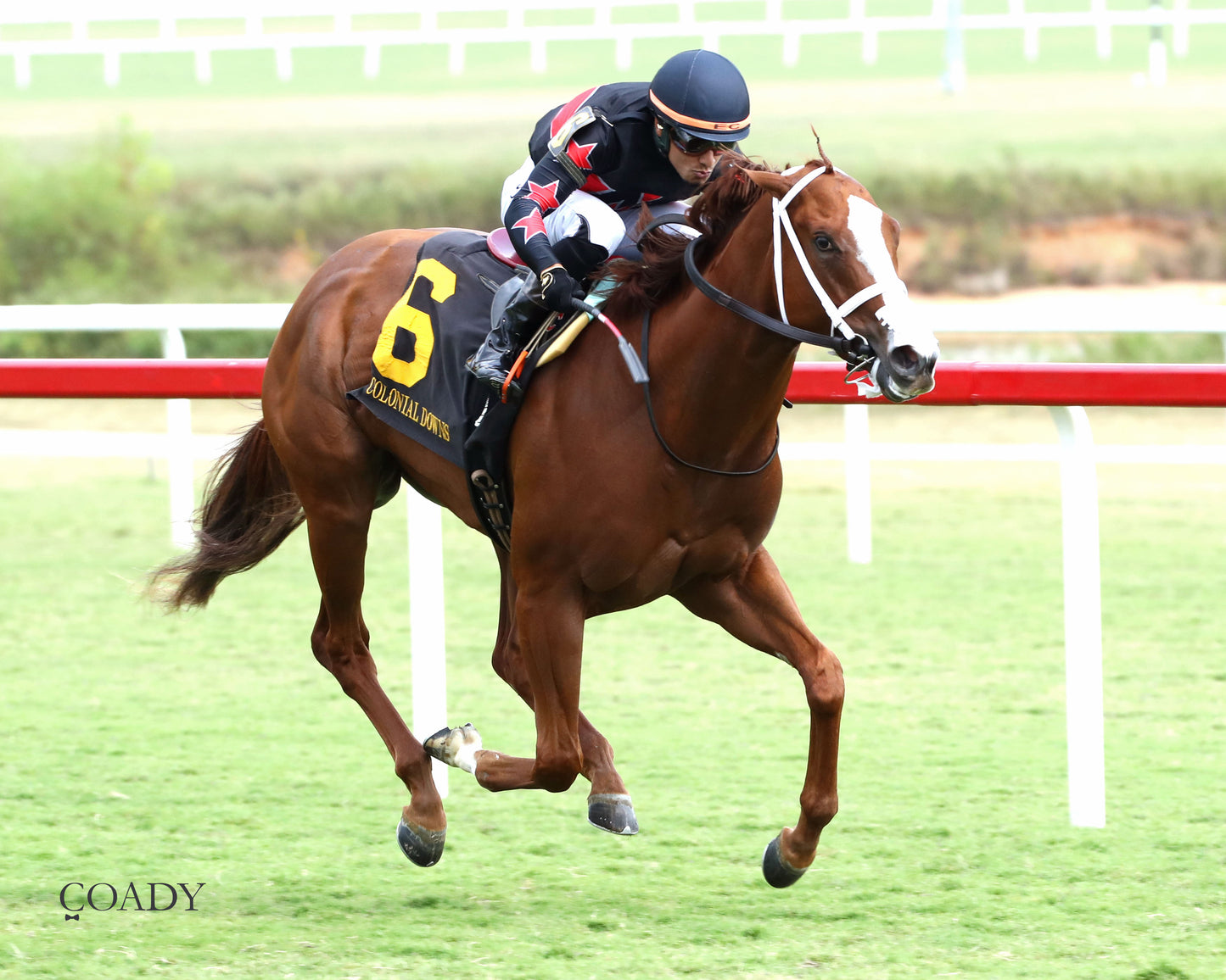 ROYAL TESTAMENT - The Exacta Systems Rosie's Stakes - 09-06-25 - CNL - Finish 04 - Coady Media - Kurtis Coady Photography