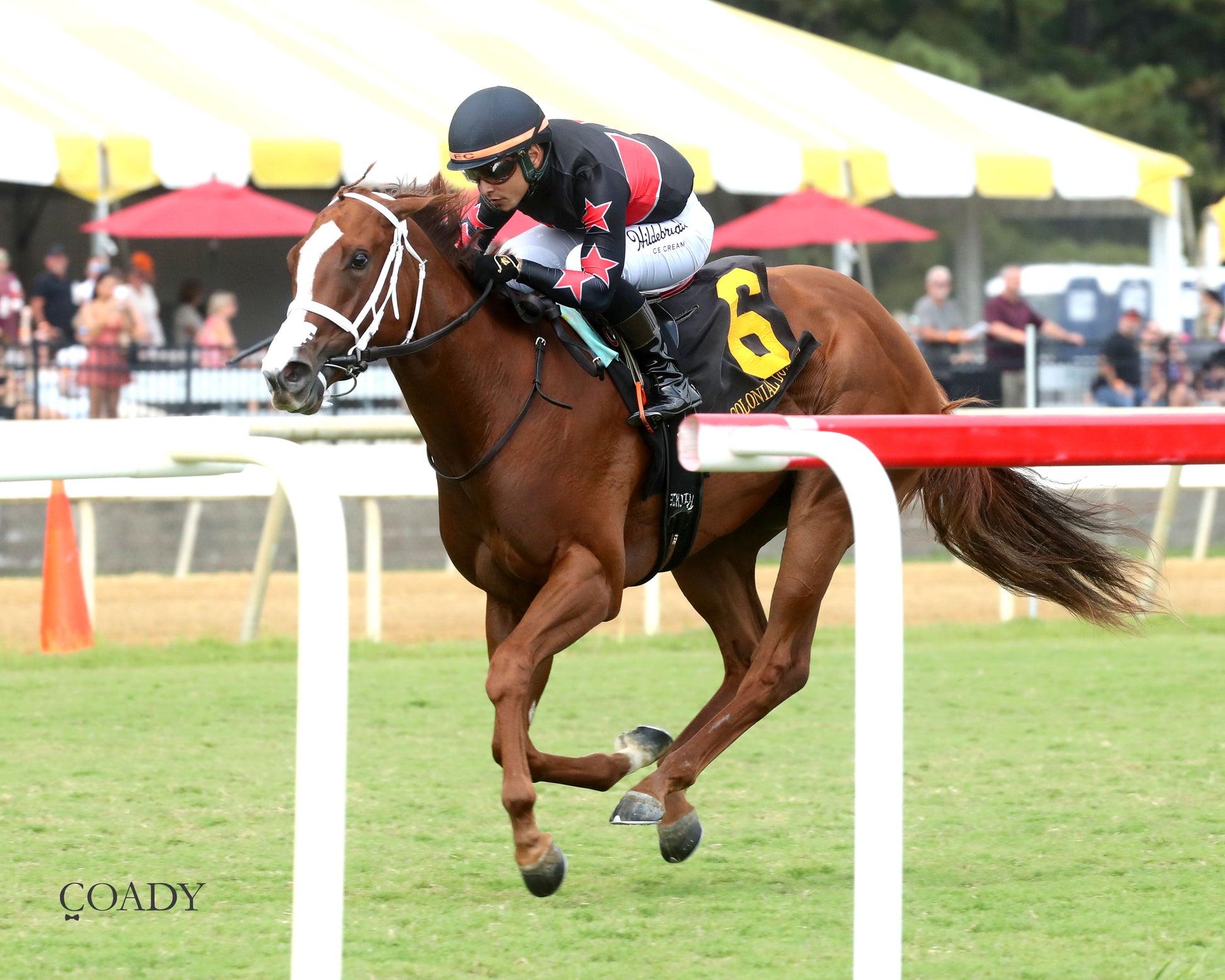 ROYAL TESTAMENT - The Exacta Systems Rosie's Stakes - 09-06-25 - CNL - Inside Finish 01 - Coady Media - Kurtis Coady Photography