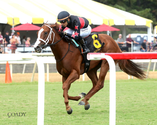 ROYAL TESTAMENT - The Exacta Systems Rosie's Stakes - 09-06-25 - CNL - Inside Finish 01 - Coady Media - Kurtis Coady Photography