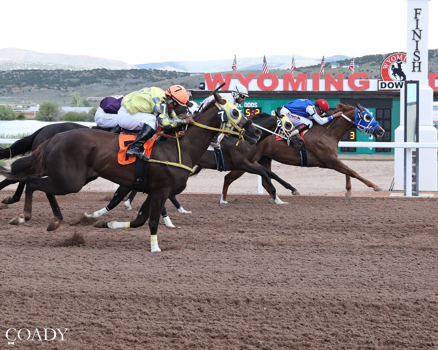RR POLITICAL CORONA - 307HR Open Sophmore - 06-21-26 - R03 - WYO