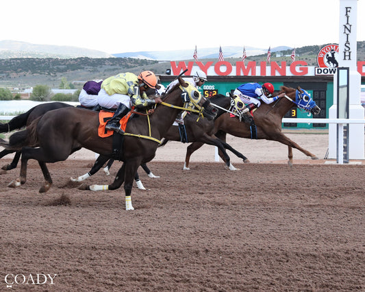 RR POLITICAL CORONA - 307HR Open Sophmore - 06-21-26 - R03 - WYO