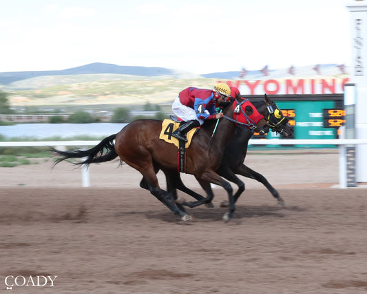 RYON'S CHANCE - 06-21-26 - R11 - WYO