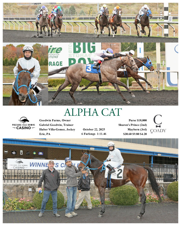 ALPHA CAT - 10-22-25 - R01 - PID