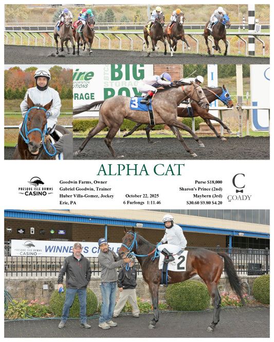 ALPHA CAT - 10-22-25 - R01 - PID