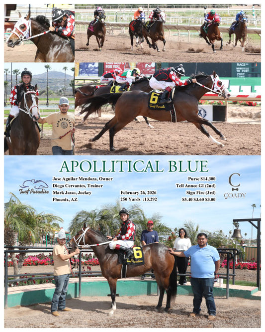 APOLLITICAL BLUE - 02-26-26 - R01 - TUP - Coady Media - Kurtis Coady Photography