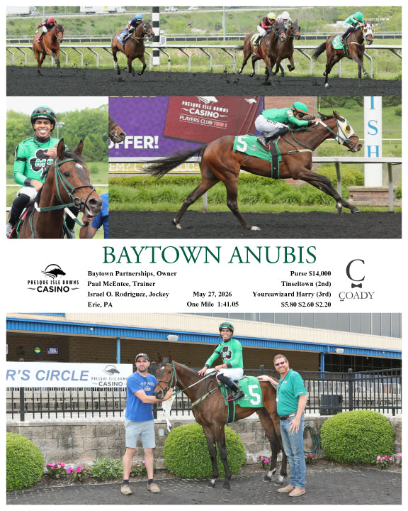 BAYTOWN ANUBIS - 05-27-26 - R01 - PID
