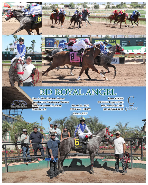 BD ROYAL ANGEL - 03-21-26 - R01 - TUP - Coady Media - Kurtis Coady Photography