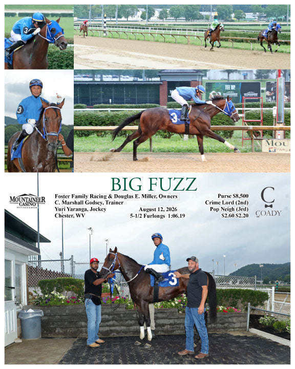 BIG FUZZ - 08-12-26 - R01 - MNR