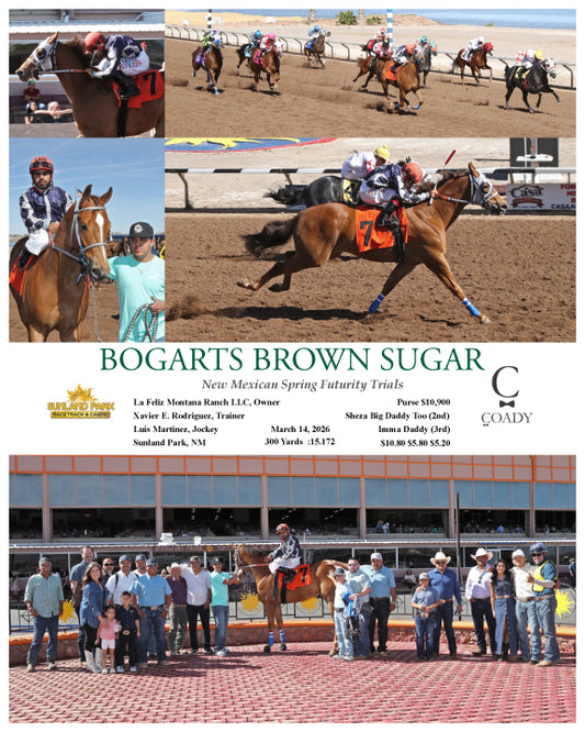 BOGARTS BROWN SUGAR - New Mexican Spring Futurity Trials - 03-14-26 - R01 - SUN - Coady Media - Kurtis Coady Photography