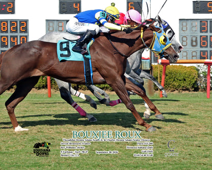 BOUXJEE ROUX - 09-28-26 - R01 - LAD