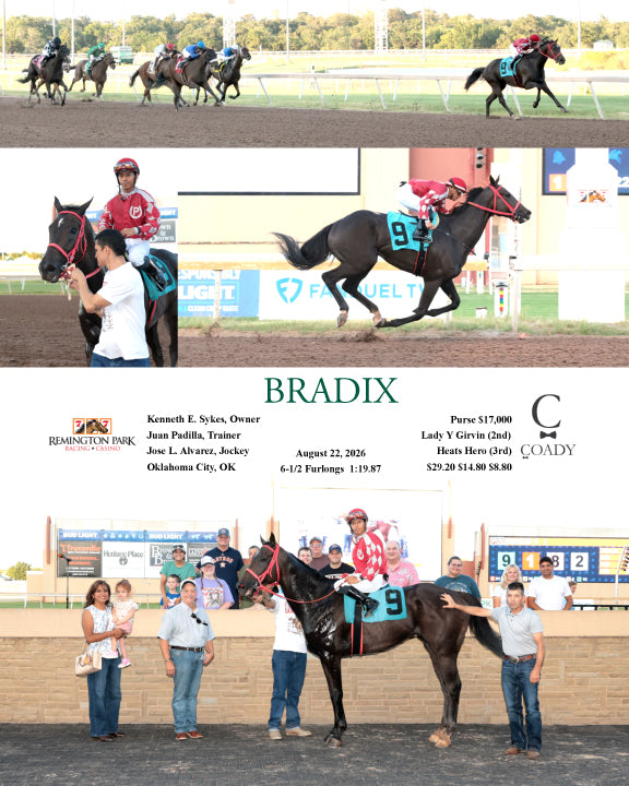 BRADIX - 08-22-26 - R01 - RP