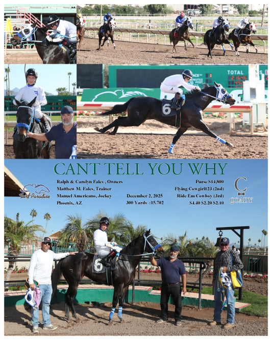 CANT TELL YOU WHY - 12-02-25 - R01 - TUP